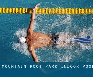 Mountain Root Park Indoor Pool