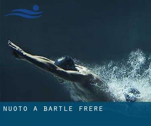 Nuoto a Bartle Frere