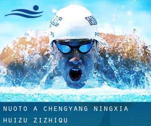 Nuoto a Chengyang (Ningxia Huizu Zizhiqu)