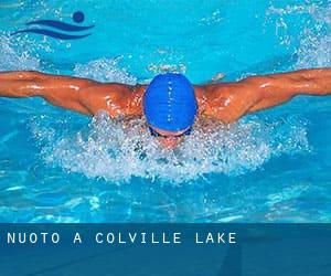 Nuoto a Colville Lake