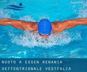 Nuoto a Essen (Renania Settentrionale-Vestfalia)