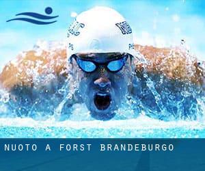 Nuoto a Forst (Brandeburgo)