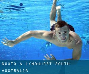 Nuoto a Lyndhurst (South Australia)