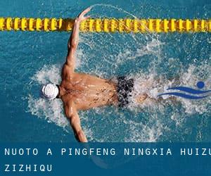 Nuoto a Pingfeng (Ningxia Huizu Zizhiqu)