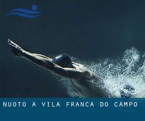 Nuoto a Vila Franca do Campo