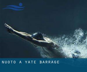 Nuoto a Yaté-Barrage