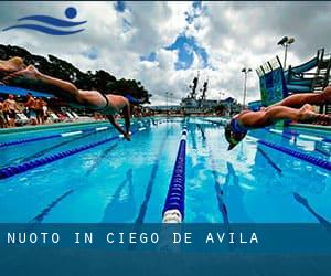 Nuoto in Ciego de Ávila