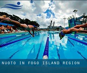 Nuoto in Fogo Island Region