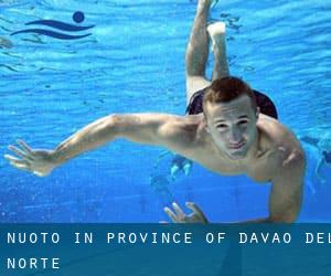 Nuoto in Province of Davao del Norte