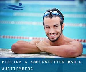 Piscina a Ammerstetten (Baden-Württemberg)