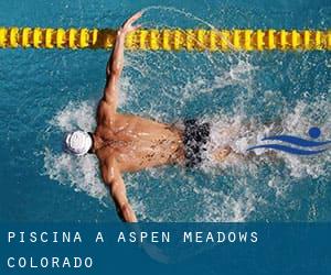 Piscina a Aspen Meadows (Colorado)