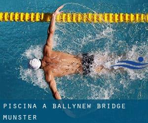 Piscina a Ballynew Bridge (Munster)