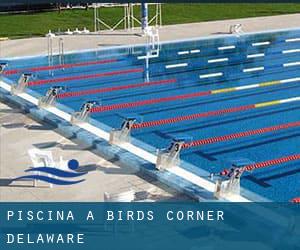 Piscina a Birds Corner (Delaware)