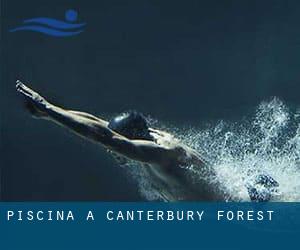 Piscina a Canterbury Forest