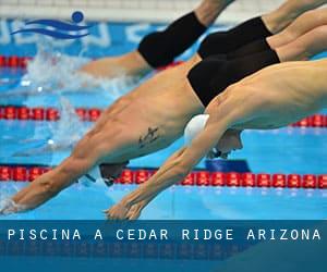 Piscina a Cedar Ridge (Arizona)