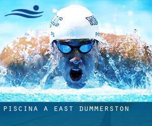 Piscina a East Dummerston