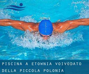 Piscina a Łętownia (Voivodato della Piccola Polonia)