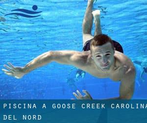 Piscina a Goose Creek (Carolina del Nord)