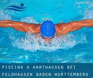 Piscina a Harthausen bei Feldhausen (Baden-Württemberg)