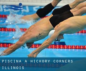 Piscina a Hickory Corners (Illinois)