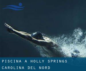 Piscina a Holly Springs (Carolina del Nord)