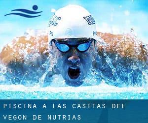 Piscina a Las Casitas del Vegon de Nutrias