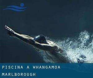 Piscina a Whangamoa (Marlborough)