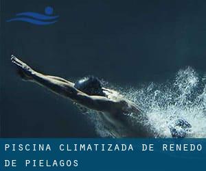 Piscina Climatizada de Renedo de Piélagos