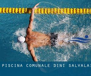 Piscina Comunale «Dini Salvalai »