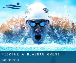 Piscine a Blaenau Gwent (Borough)