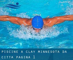 Piscine a Clay Minnesota da Città - pagina 1