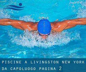 Piscine a Livingston New York da Capoluogo - pagina 2