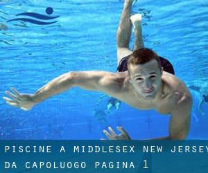 Piscine a Middlesex New Jersey da Capoluogo - pagina 1