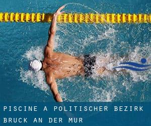 Piscine a Politischer Bezirk Bruck an der Mur