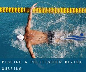 Piscine a Politischer Bezirk Güssing