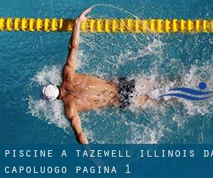 Piscine a Tazewell Illinois da Capoluogo - pagina 1