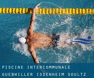 Piscine Intercommunale Guebwiller Issenheim Soultz