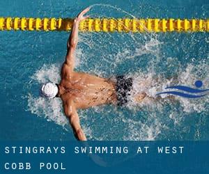 Stingrays Swimming at West Cobb Pool